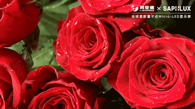 鸿运国际·(中国)官方网站入口